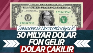 Necmettin Batırel'den doların düşmesi için yeni formül