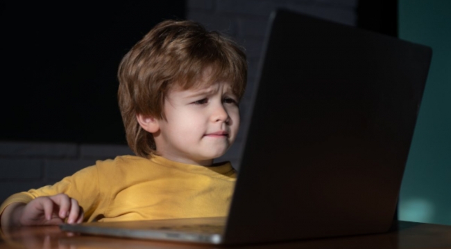 TÜİK verilerine göre, Türkiye'de çocukların yüzde 82,7'si internet kullanıyor