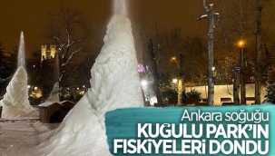 Ankara'daki Kuğulu Park'ın fıskiyeleri dondu 