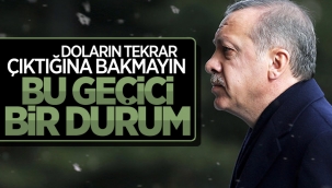 Cumhurbaşkanı Erdoğan faiz değerlendirmesini yineledi 