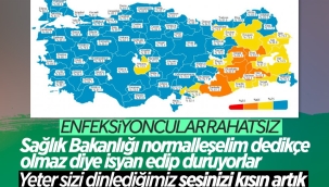 Epidemiyolog Mehmet Ceyhan'dan Bakan Koca'nın açıklamalarına tepki 