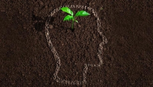 İlk insan ve ilk Peygamber Hz. Adem'in yaratılışı 