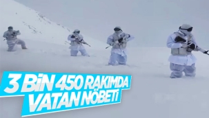 Mehmetçik 3 bin 450 rakımlı üs bölgesinde görevinin başında 