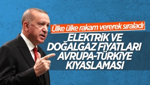 Cumhurbaşkanı Erdoğan'dan enerji fiyatları mukayesesi 