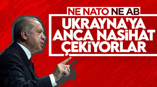 Cumhurbaşkanı Erdoğan: NATO'nun daha kararlı adım atması gerekirdi 