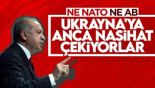 Cumhurbaşkanı Erdoğan: NATO'nun daha kararlı adım atması gerekirdi 