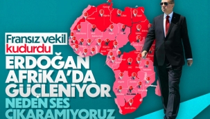 Fransız vekilden Türkiye'nin Afrika'daki varlığına tepki 