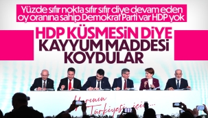 Güçlendirilmiş Parlamenter Sistem metninde 'kayyum' detayı 