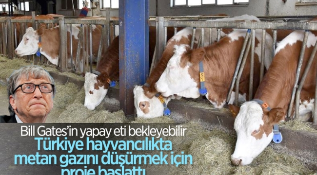 Hayvancılık sektöründe metan gazı salınımını azaltmaya yönelik proje 