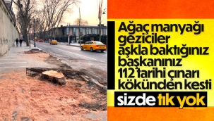 İBB, Beşiktaş'ta 112 çınar ağacını kesti 