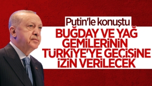 Putin, Türkiye'ye gelecek gemilerinin geçişi için talimat verdi 