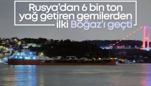 Rusya'dan yola çıkan ayçiçeği yağı yüklü gemi, İstanbul Boğazı'na vardı 