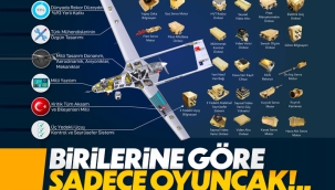 Selçuk Bayraktar'dan 'Bayraktar TB2' paylaşımı 