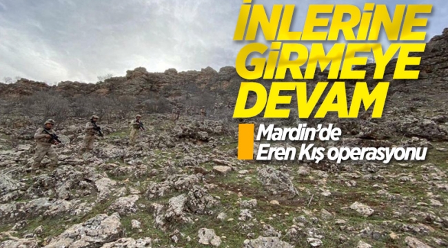 Mardin'de Eren Kış-33 Operasyonu başladı 