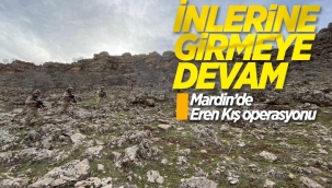 Mardin'de Eren Kış-33 Operasyonu başladı 
