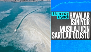 Marmara'da denizin ısınması, müsilaja tekrar sebep olabilir 