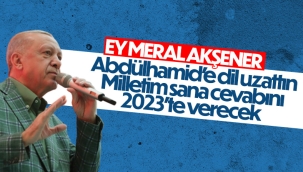 Cumhurbaşkanı Erdoğan'dan Akşener'e: Sen kim Abdülhamid'e saygısızlık kim