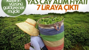 Cumhurbaşkanı Erdoğan, yeni yaş çay alım fiyatını açıkladı 