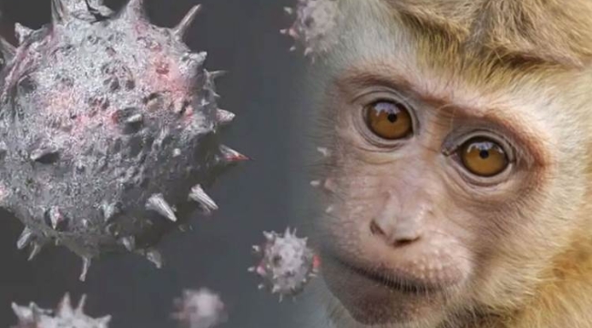 DSÖ'den maymun çiçeği açıklaması: Toplu aşılamaya ve sürü bağışıklığına gerek yok 