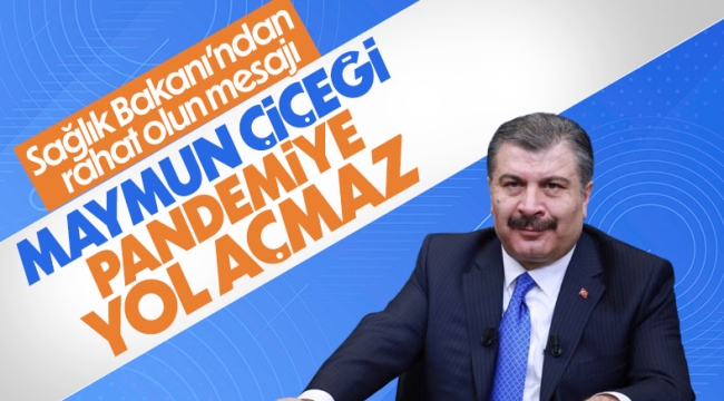 Fahrettin Koca: Maymun çiçeği pandemiye yol açmaz 