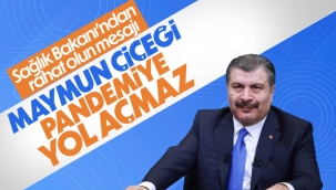 Fahrettin Koca: Maymun çiçeği pandemiye yol açmaz 
