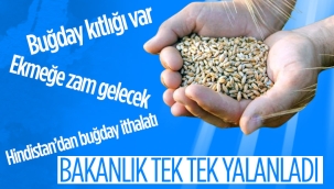 Tarım Bakanlığı'ndan 'Hindistan'dan buğday ithalatı' iddiasına yalanlama 