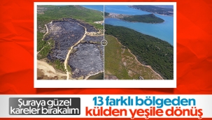 Yangınlarda zarar gören 13 bölge yeniden yeşerdi 