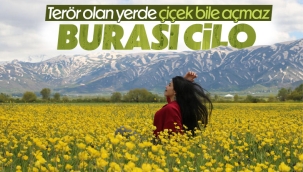 Yüksekova'ya bahar geldi 