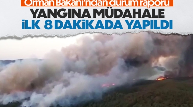 Bakan Kirişci'den Marmaris'teki yangınla ilgili açıklama