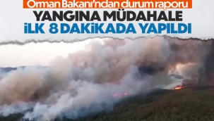 Bakan Kirişci'den Marmaris'teki yangınla ilgili açıklama