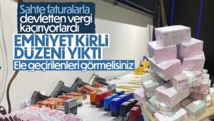 Demir Yumruk Operasyonu'nun ayrıntıları