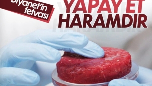 Diyanet'ten yapay et ve GDO fetvası