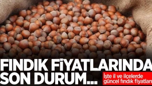 Fındık fiyatlarında son durum... İşte 5 Haziran Pazar il il güncel fındık fiyatları