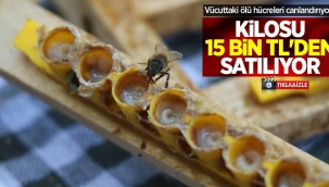 Vücuttaki ölü hücreleri canlandırıyor! Kilosu 15 bin TL'den satılıyor