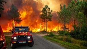 Aşırı sıcaklar, Avrupa ve ABD'de orman yangınlarını tetikledi