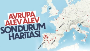 Avrupa'nın orman yangını bilançosu