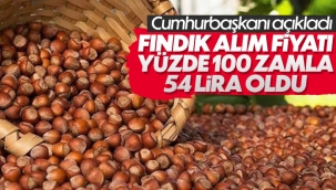 Cumhurbaşkanı Erdoğan fındık alım fiyat ortalamasını açıkladı