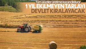 Devlet boş tarlayı kiraya verecek, hem işleten hem de eken kazanacak