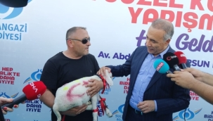 En Güzel Kurbanlık Yarışmasını Tokatlı Babayiğit Kazandı 