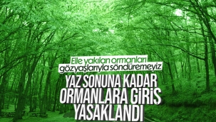 İçişleri Bakanlığı'ndan orman yangınlarına karşı genelge