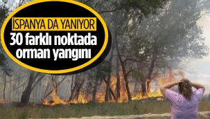 İspanya'da 30 farklı noktada yangınla mücadele
