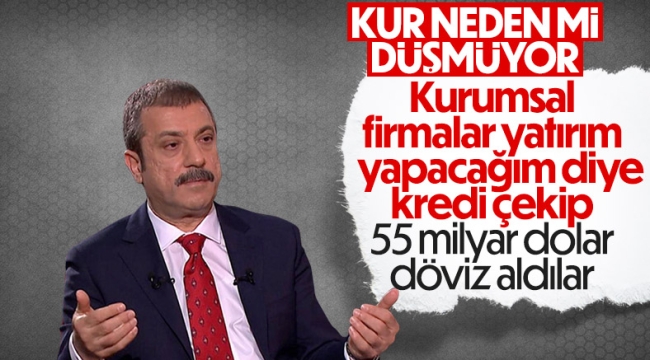 Yatırım kredisi kullanıp 55 milyar dolar döviz aldılar