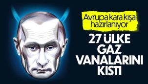 AB'nin doğal gazı azaltma planı yürürlükte