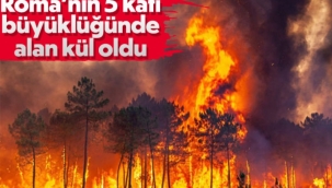 Avrupa'da Roma'nın 5 katı büyüklüğünde alan küle döndü