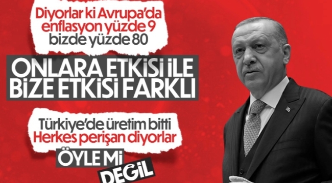 Cumhurbaşkanı Erdoğan: Avrupa ile Türkiye'nin enflasyon etkileri farklı