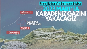 Fatih Dönmez: Mart ayında kendi gazımızı yakacağız