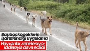 Hayvan Hakları Komisyonu'ndan Havrita'ya kapatma davası