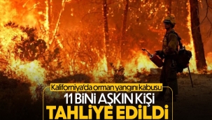 Kaliforniya'da orman yangınları sürüyor: 11 bini aşkın tahliye
