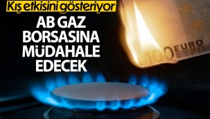 AB'den ortak gaz alımı ve zorunlu dayanışma önerisi