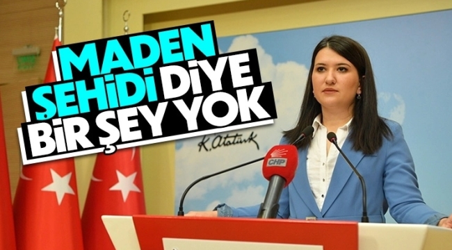 CHP Genel Başkan Yardımcısı Gökçen'den partisine: Maden şehidi diye bir şey yok